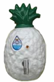 Purificador de agua acrílico · Piña